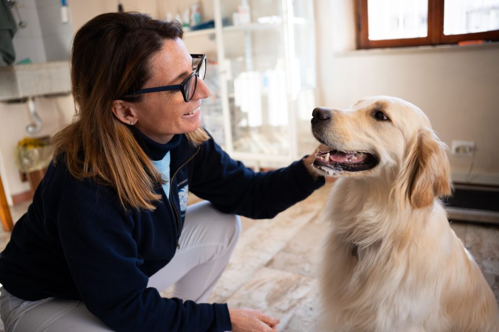 Veterinaria Silvia Falleni