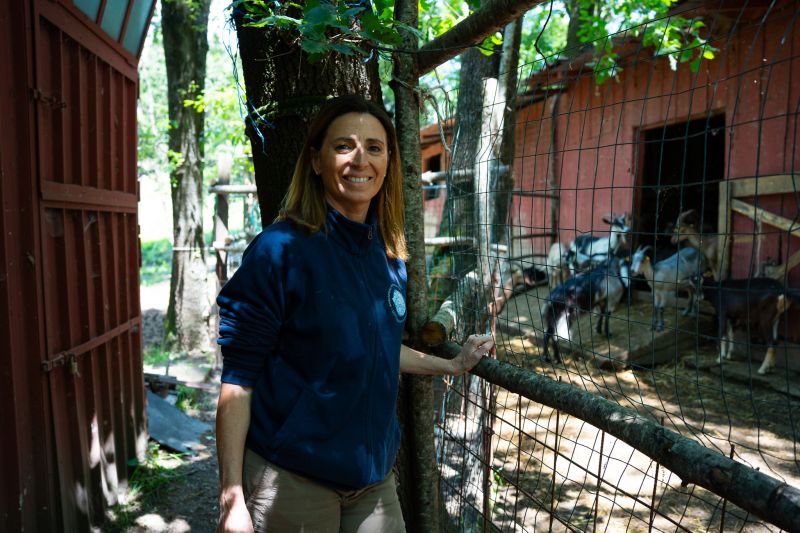 veterinario animali fattoria