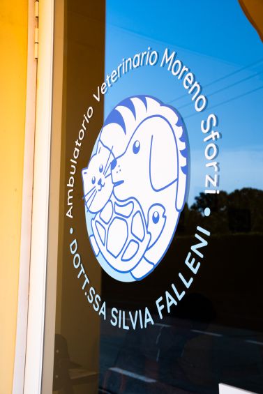 ambulatorio veterinario lucca